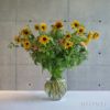 Fredericia フレデリシア Hydro Glass Vase ハイドロ グラス ベース フラワーベース 花器 花瓶 8209 H30cm デザイン：ソフィー・エスタービー