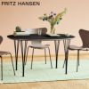 FRITZ HANSEN フリッツ・ハンセン SUPERELLIPSE スーパー楕円テーブル B611 ダイニングテーブル 90×135cm ラミネート天板 カラー：6色 スパンレッグカラー：7色 デザイン：ピート・ハイン、ブルーノ・マットソン