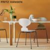 FRITZ HANSEN フリッツ・ハンセン ANALOG アナログテーブル JH63 ダイニングテーブル 105×185cm 無垢材ベース カラー：4色 デザイン：ハイメ・アジョン