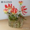 KLONG クロング ANG VASE Large ラージ &#216;21cm フラワーベース 花器 カラー：2色 デザイン：エヴァ・シルト