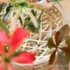 KLONG クロング ANG VASE Large ラージ &#216;21cm フラワーベース 花器 カラー：2色 デザイン：エヴァ・シルト