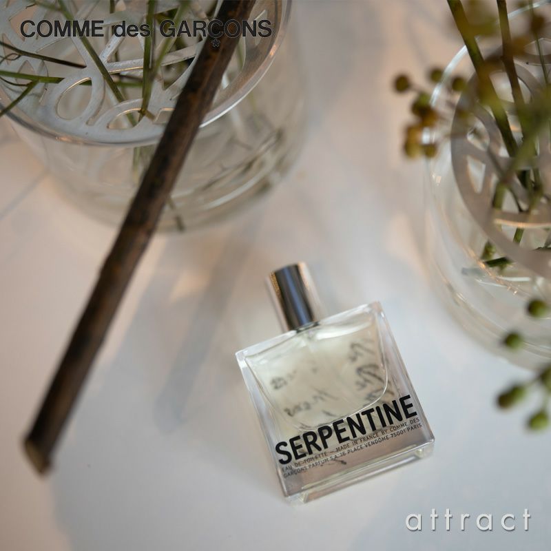 Comme des Garcons コム デ ギャルソン Pocket ポケット Parfums パルファム SERPENTINE サーペンタイン 50ml 香水