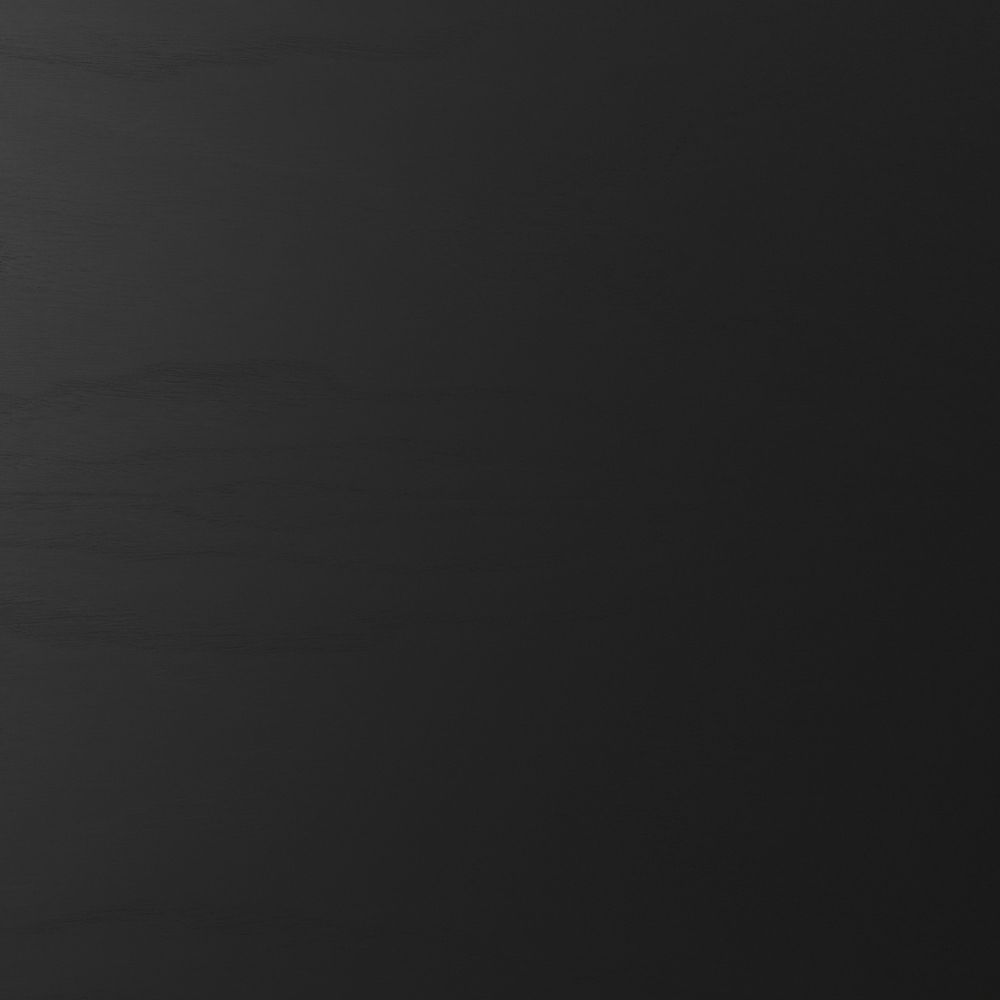 FRITZ HANSEN フリッツ・ハンセン ANT アリンコチェア 3101 チェア 4本脚 カラードアッシュ カラー：ブラック ベースカラー：クローム仕上げ