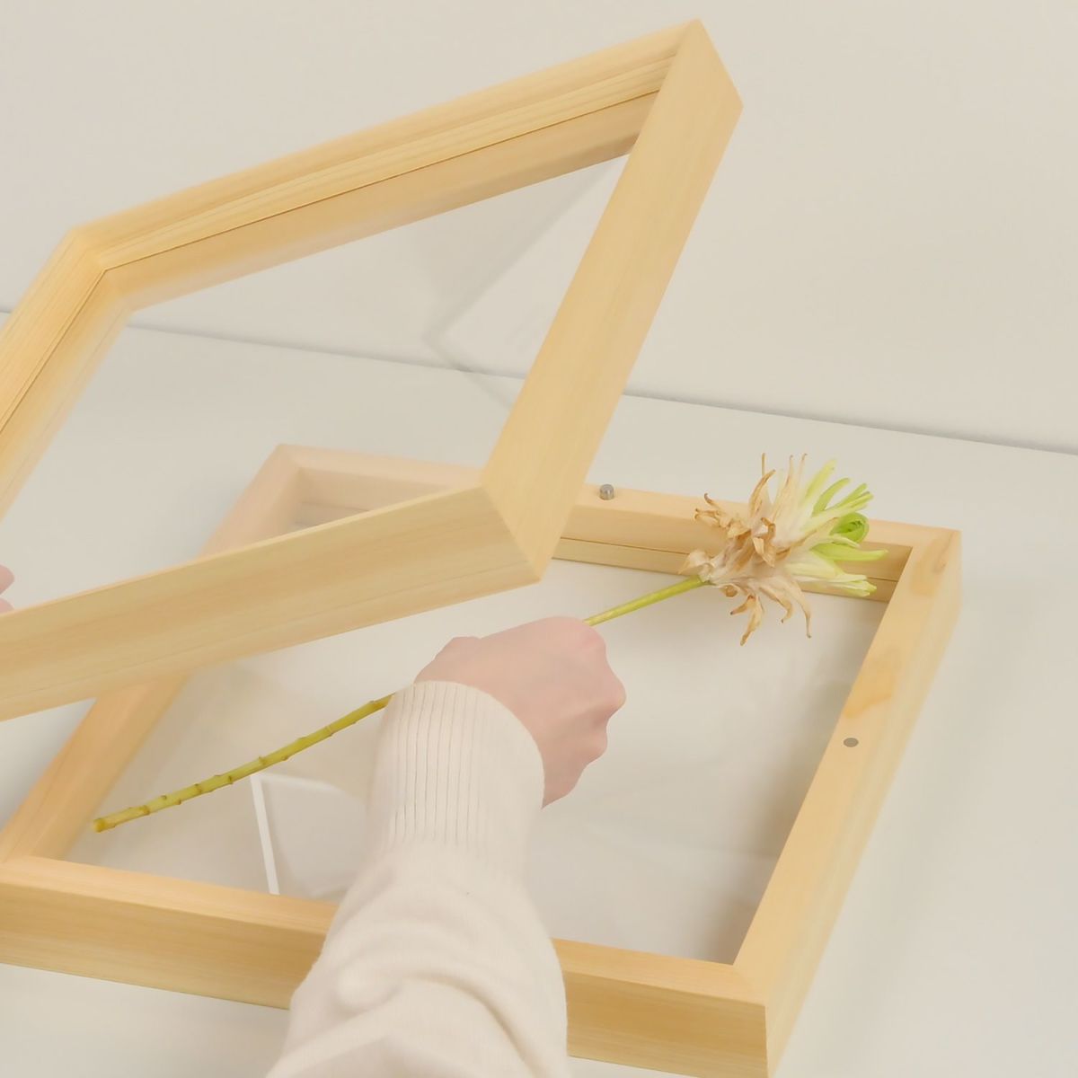 METAPHYS メタフィス fufua フーファ 25090-25091 Display Frame ディスプレイフレーム タイプ：スクエア レクタングル 国産ひのき材 デザイン：ムラタ チアキ ダイワ産業