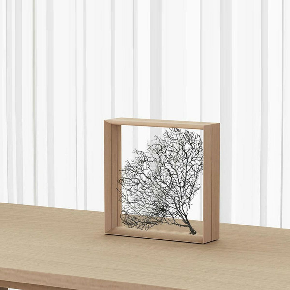 METAPHYS メタフィス fufua フーファ 25090-25091 Display Frame ディスプレイフレーム タイプ：スクエア レクタングル 国産ひのき材 デザイン：ムラタ チアキ ダイワ産業