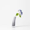 Henry Dean ヘンリー ディーン Grass S グラス S フラワーベース ハンドメイド ガラス 花器