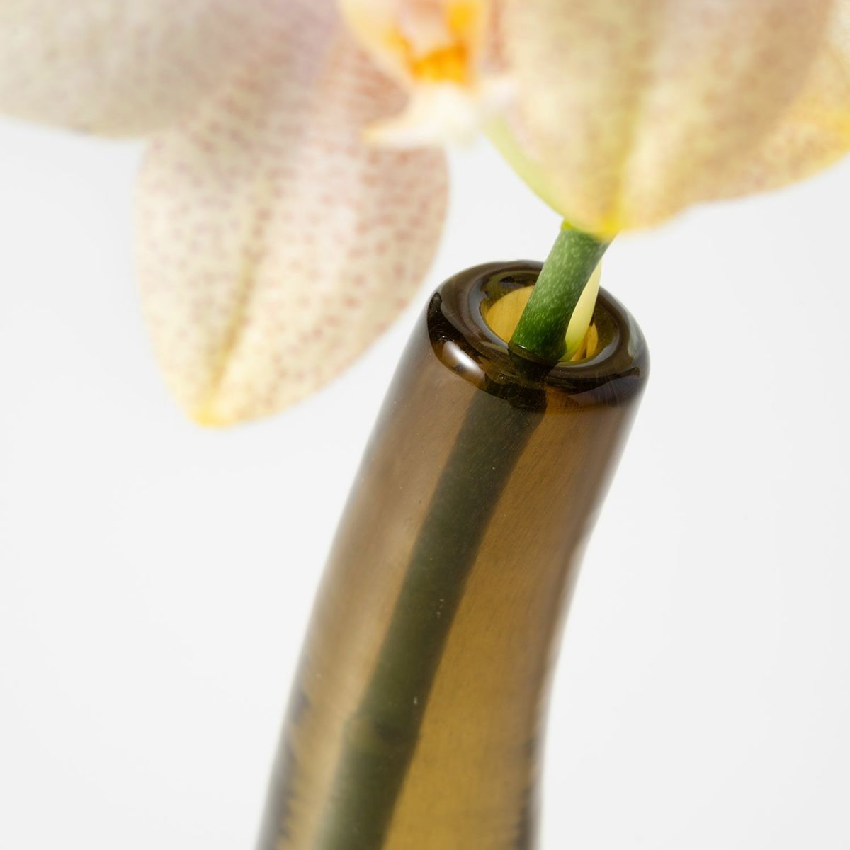 Henry Dean ヘンリー ディーン Grass S グラス S フラワーベース ハンドメイド ガラス 花器