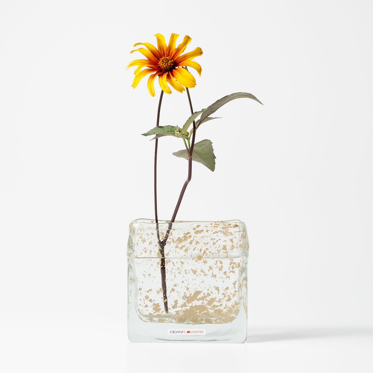 Henry Dean ヘンリー ディーン Square XS スクエア XS フラワーベース ハンドメイド ガラス 花器