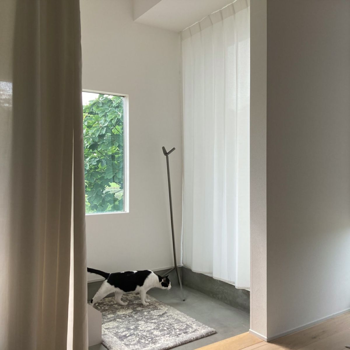 DUENDE デュエンデ UNO HANGER ウノ ハンガー DU0323 カラー：2色 デザイン：芦沢 啓治