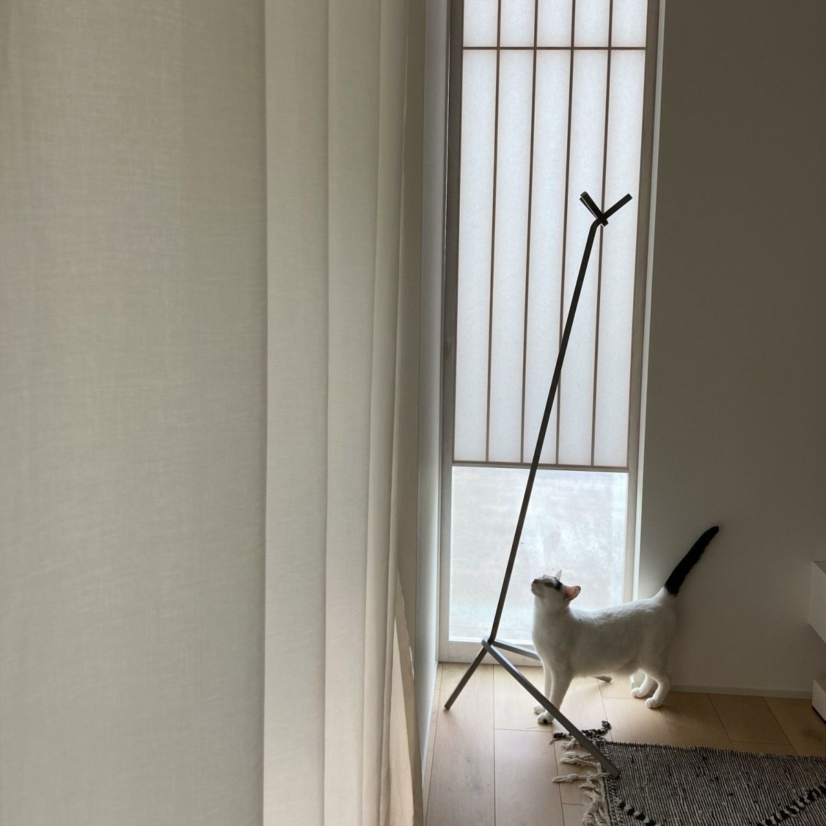 DUENDE デュエンデ UNO HANGER ウノ ハンガー DU0323 カラー：2色 デザイン：芦沢 啓治