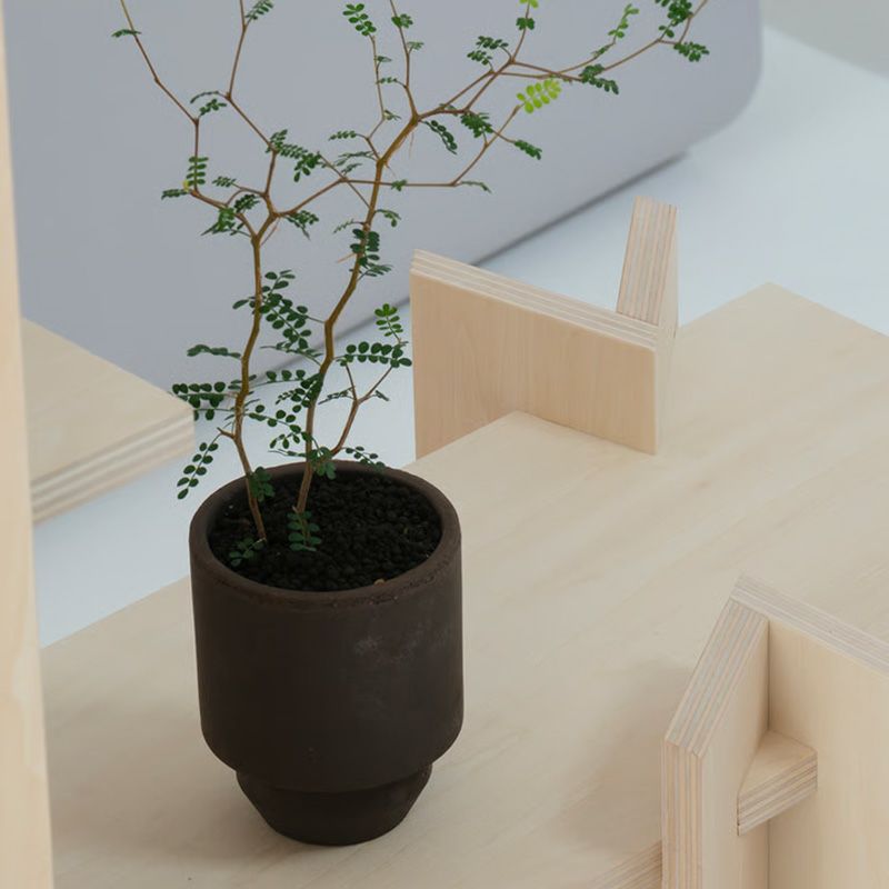 more trees モア・トゥリーズ KODACHI こだち コダチ シェルフ 棚 シナ合板 デザイン：隈 研吾