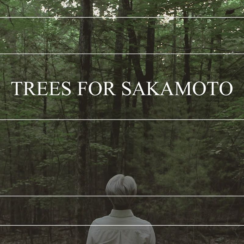 more trees モア・トゥリーズ KODACHI こだち コダチ シェルフ 棚 シナ合板 デザイン：隈 研吾